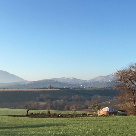 Catignano Glamping Abruzzo - The Yurt酒店 外观 照片