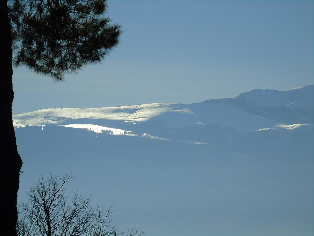 Catignano Glamping Abruzzo - The Yurt酒店 外观 照片